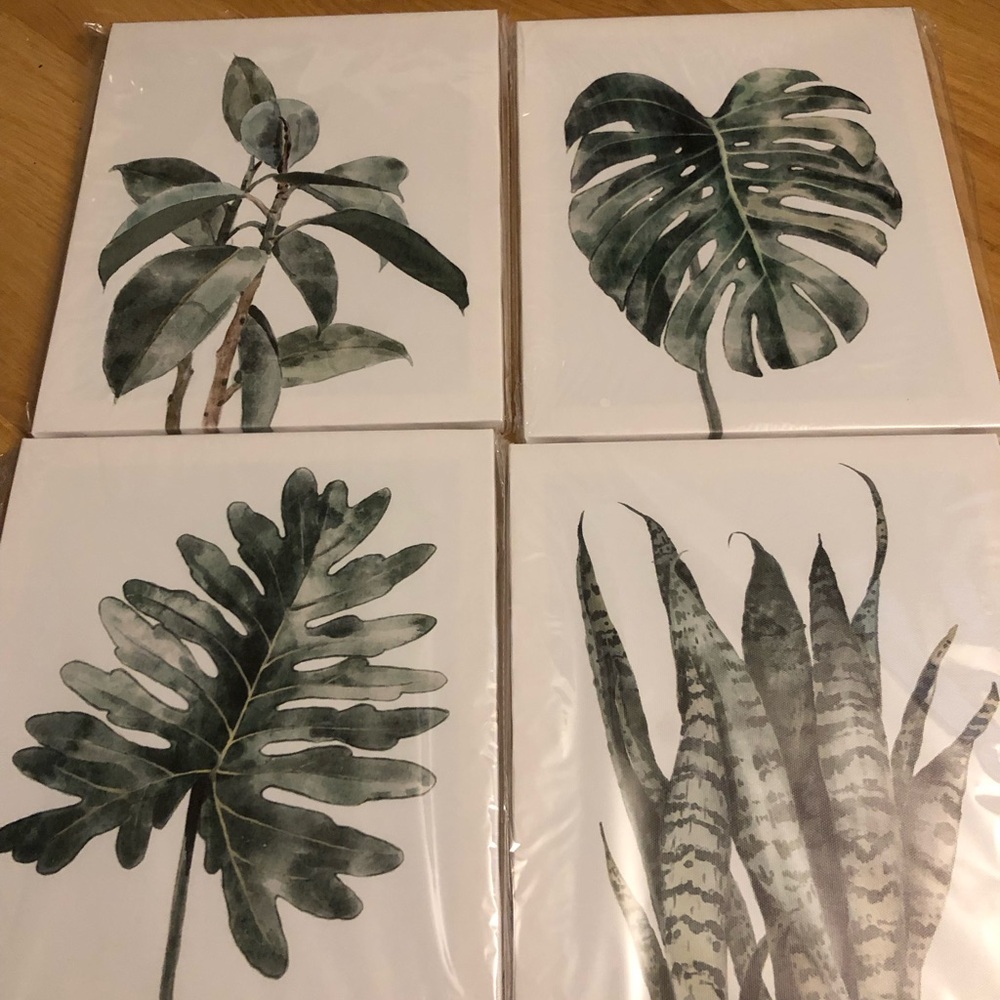 Set of 4 Botanical Wall Art Prints - Green Leaf Prints
